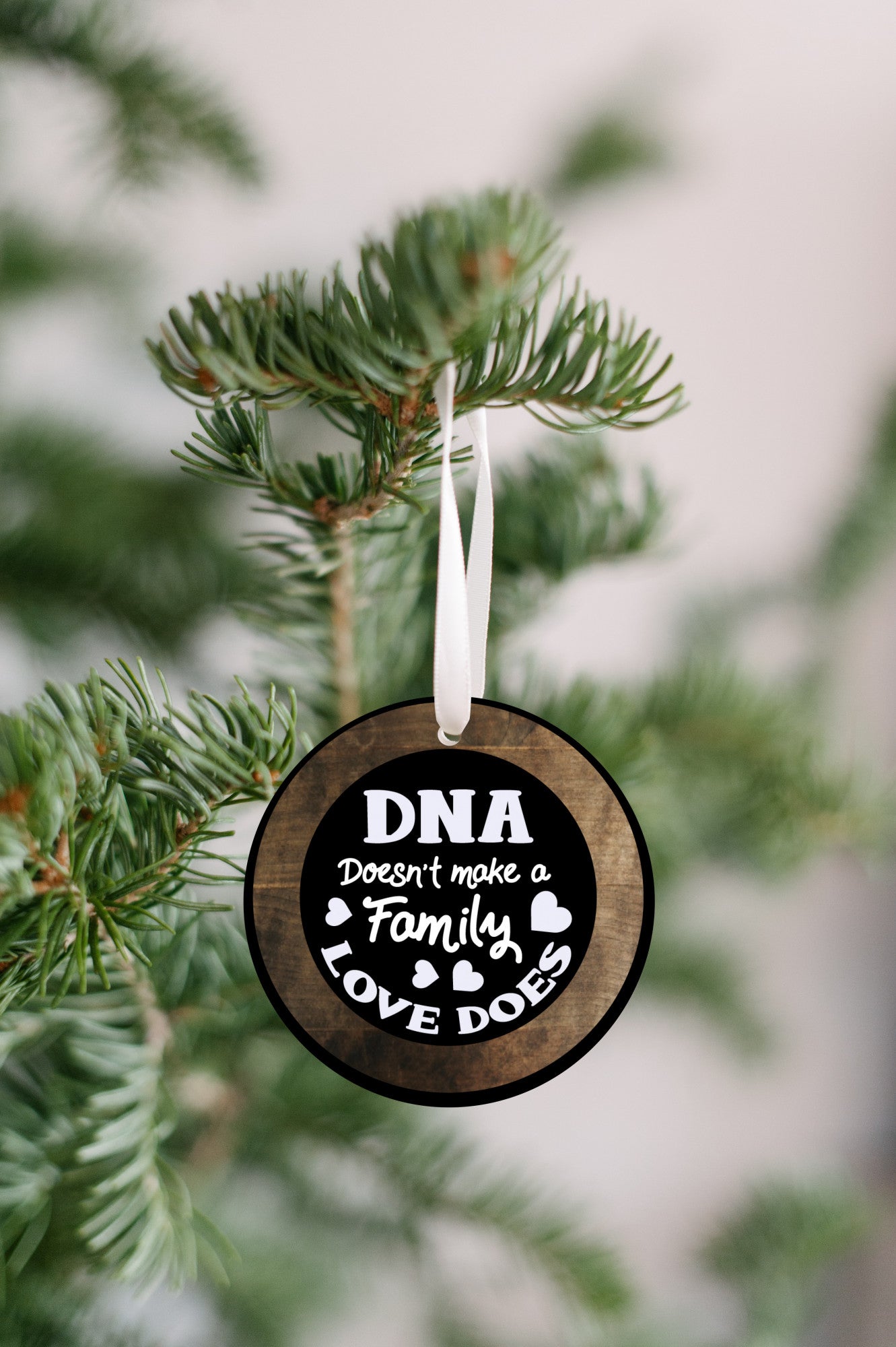 DNA Does Not Make a Family Christmas Ornament