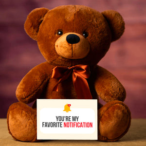 You're My Favorite Notification Teddy Bear With Postcard - PRICE INCLUDES FREE SHIPPING!