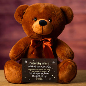 Friendship Is Like Peeing Your Pants Teddy Bear With Postcard - PRICE INCLUDES FREE SHIPPING!!