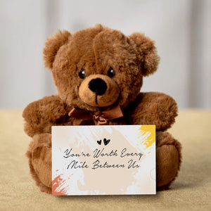You're Worth Every Mile Between Us. Long Distance Teddy Bear With Message Card - Price Includes Free Shipping