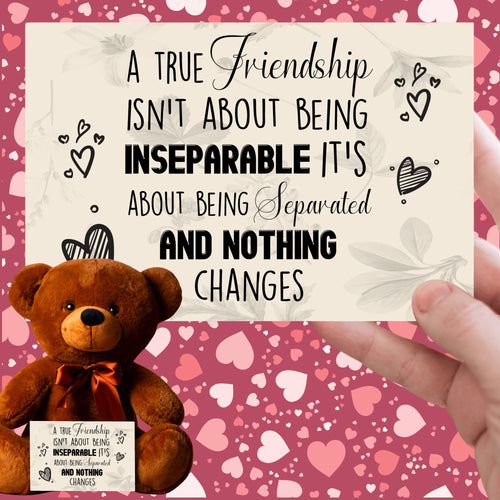 A True Friendship Teddy Bear