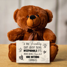 Load image into Gallery viewer, A True Friendship Teddy Bear - PRICE INCLUDES FREE SHIPPING