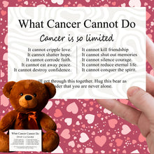 Load image into Gallery viewer, What Cancer Cannot Do Teddy Bear - PRICE INCLUDES FREE SHIPPING