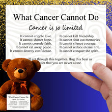 Load image into Gallery viewer, What Cancer Cannot Do Teddy Bear - PRICE INCLUDES FREE SHIPPING