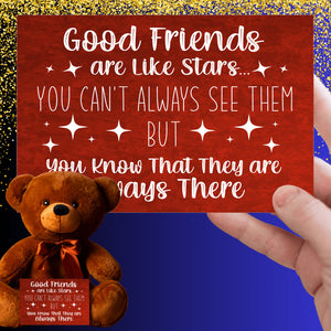 Good Friends Are Like Stars Teddy Bear with Message Card, PRICE INCLUDES FREE SHIPPING