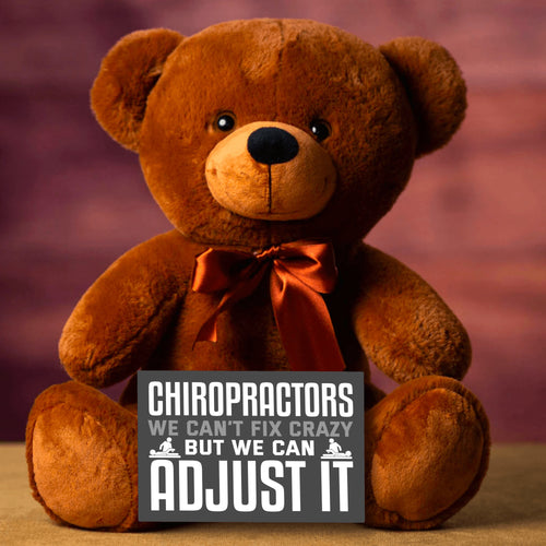Chiropractors Can't Fix Stupid Teddy Bear with Message Card, PRICE INCLUDES FREE SHIPPING