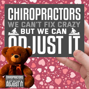 Chiropractors Can't Fix Stupid Teddy Bear with Message Card, PRICE INCLUDES FREE SHIPPING