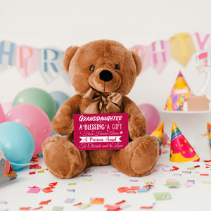 Granddaughter a Blessing Teddy Bear with Message Card, PRICE INCLUDES FREE SHIPPING