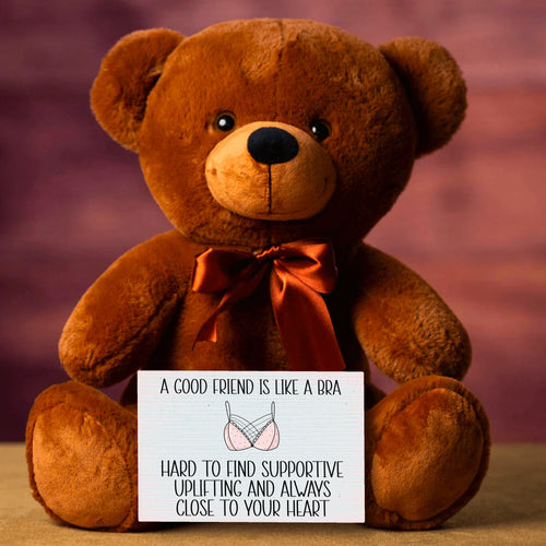A Good Friend Is Like a Bra Teddy Bear with Message Card