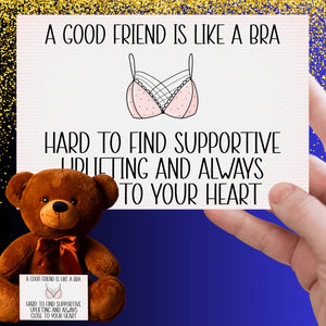 A Good Friend Is Like a Bra Teddy Bear with Message Card