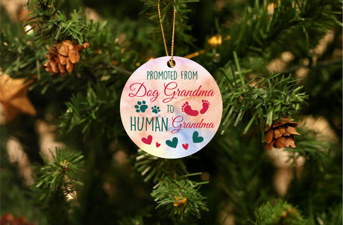 Promoted From Dog Grandma To Human Grandma Ornament