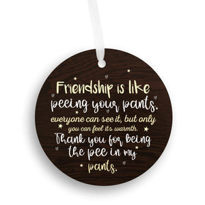 Friendship Is Like Peeing Your Pants Ornament
